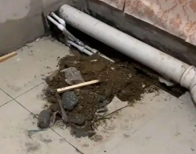 兴县卫生间漏水检测哪家好